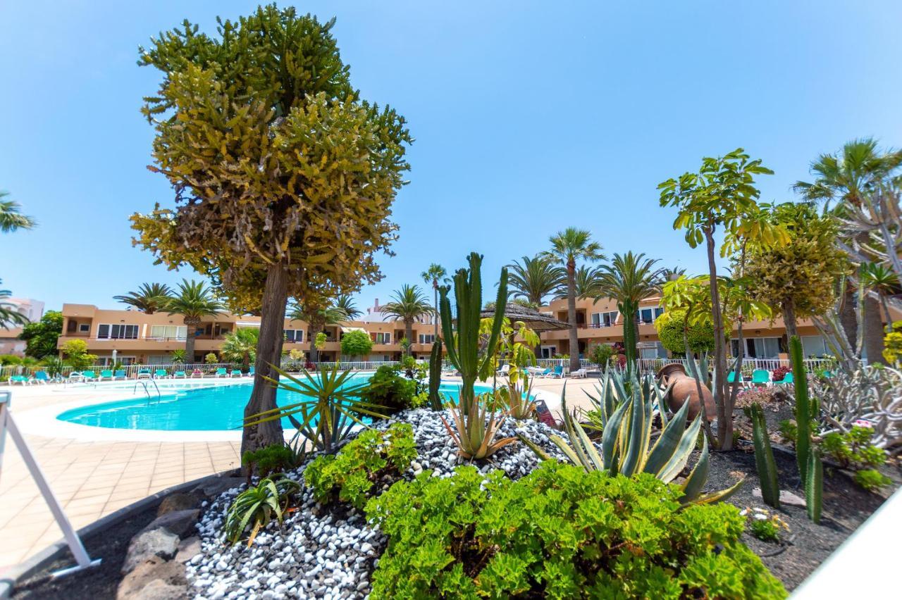 Appartamento Beachapartment *